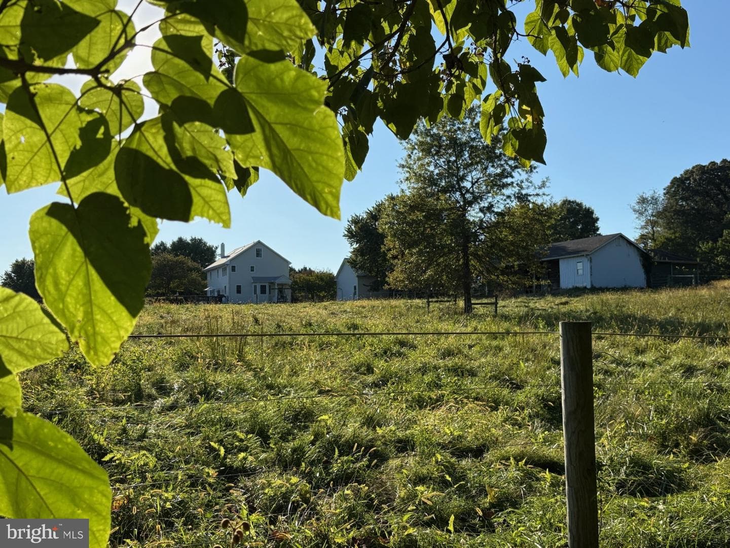 137 Elk Ranch Park Road photo 41
