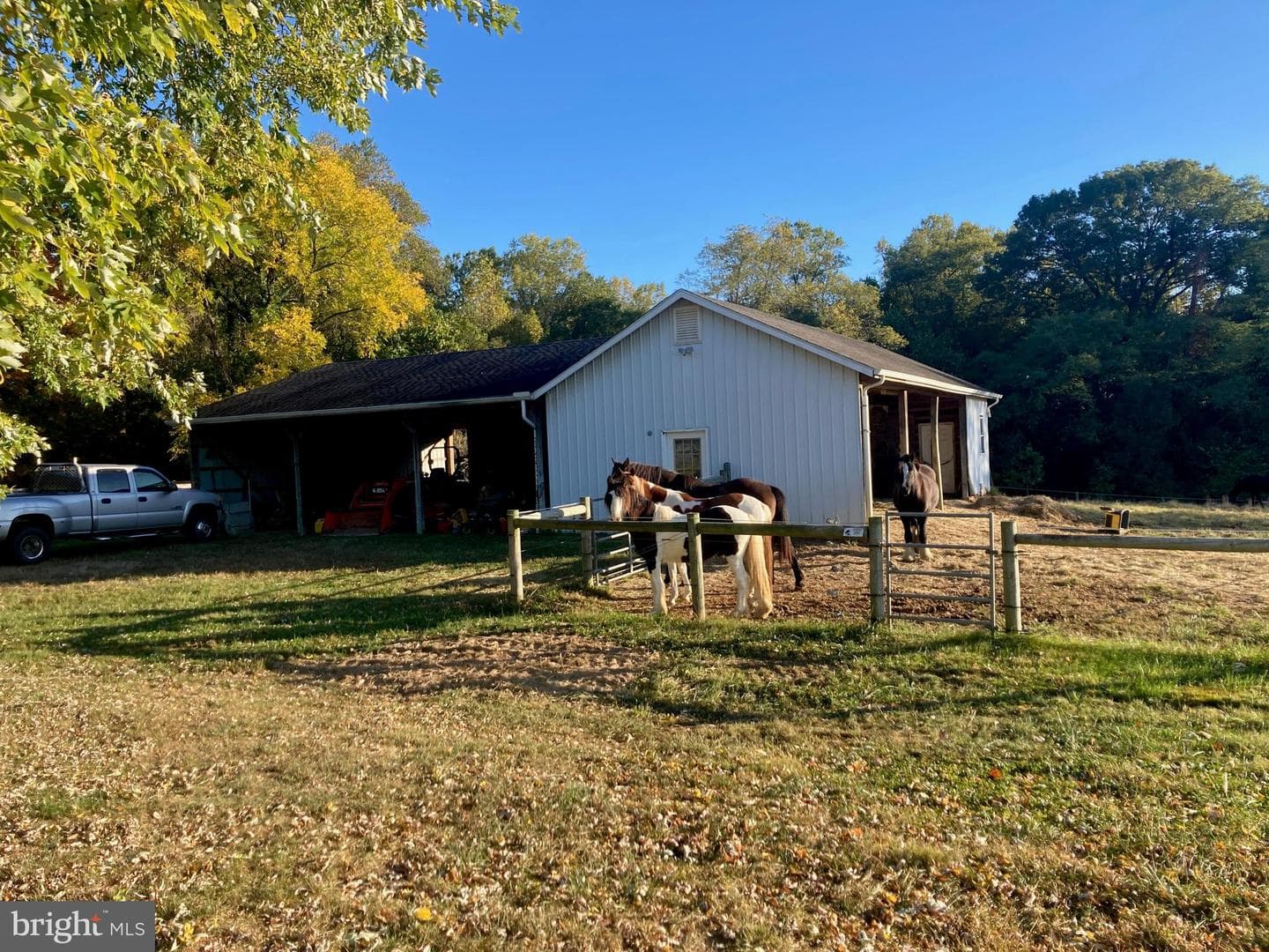 137 Elk Ranch Park Road photo 49