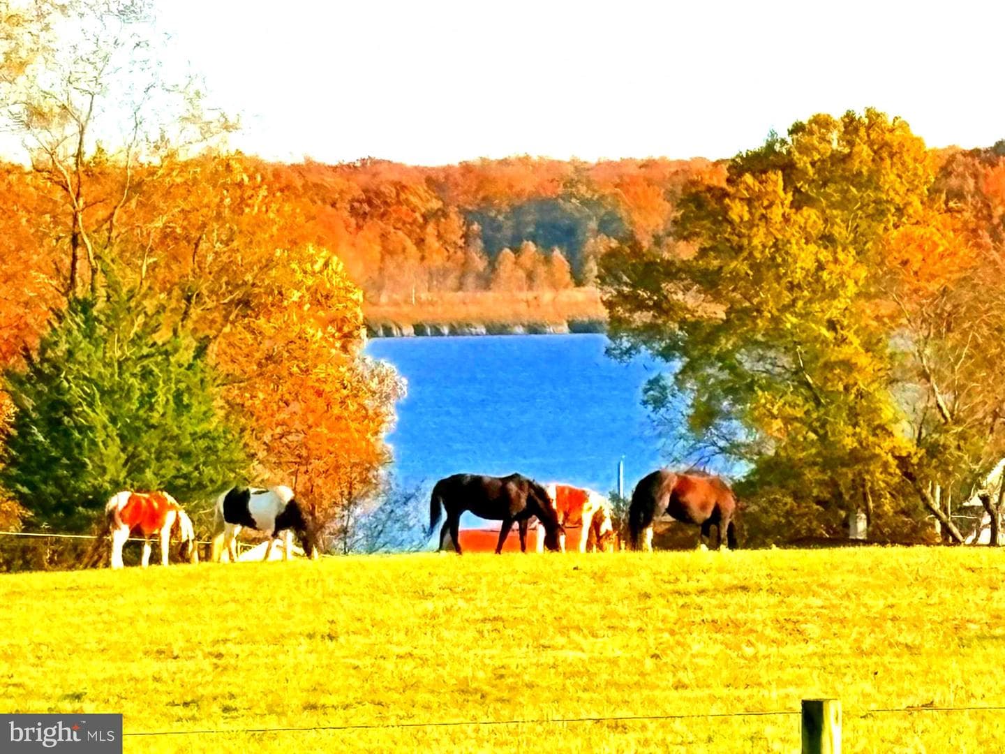 137 Elk Ranch Park Road photo 6
