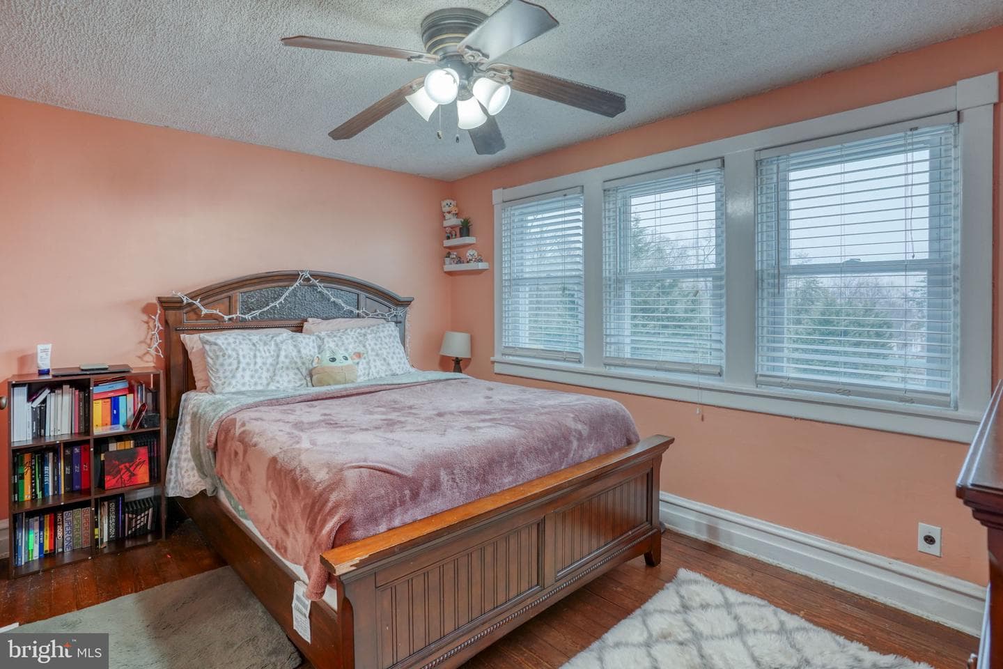 7 Patterson Avenue photo 31