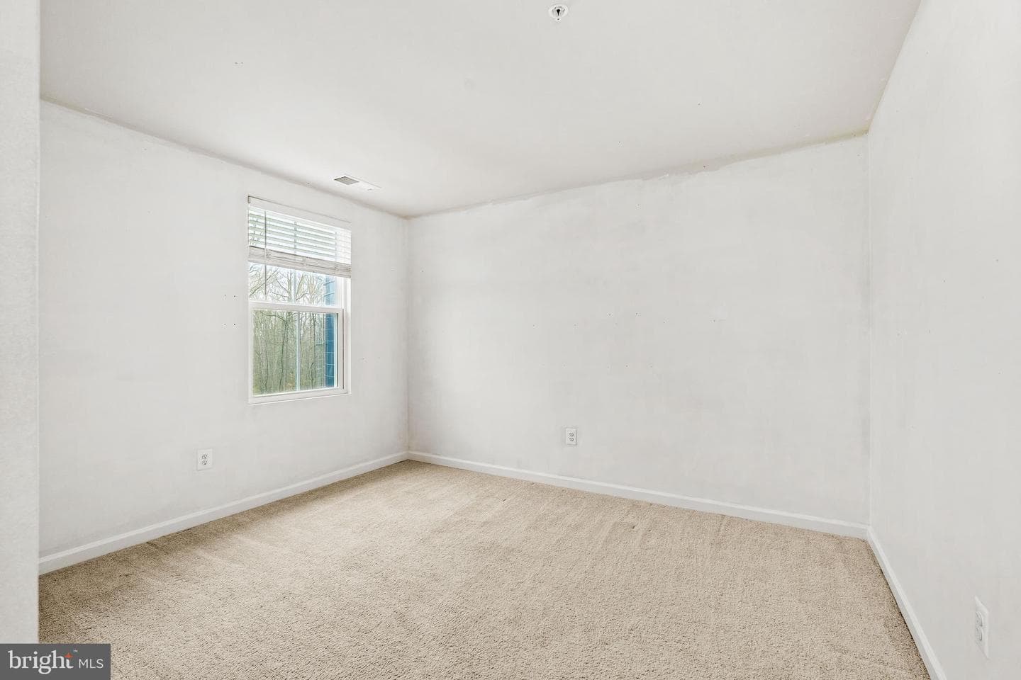 14 Blue Spruce Way photo 21