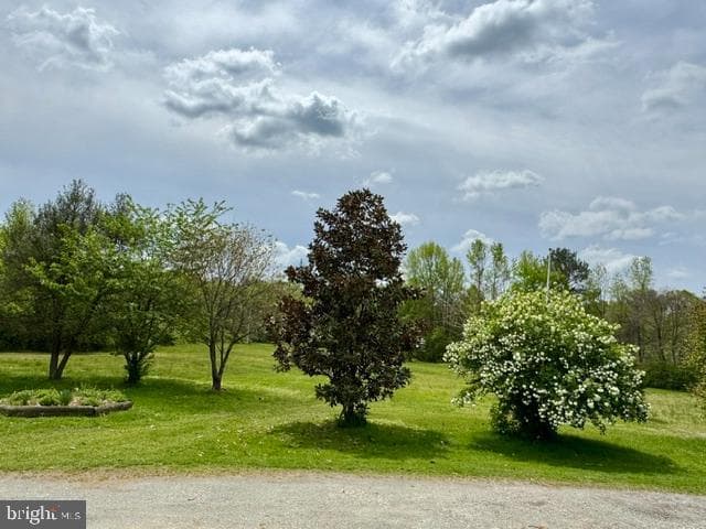 3475 Old Elk Neck Road photo 9