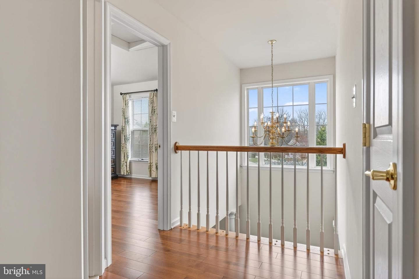 169 Thomas Jefferson Terrace photo 47
