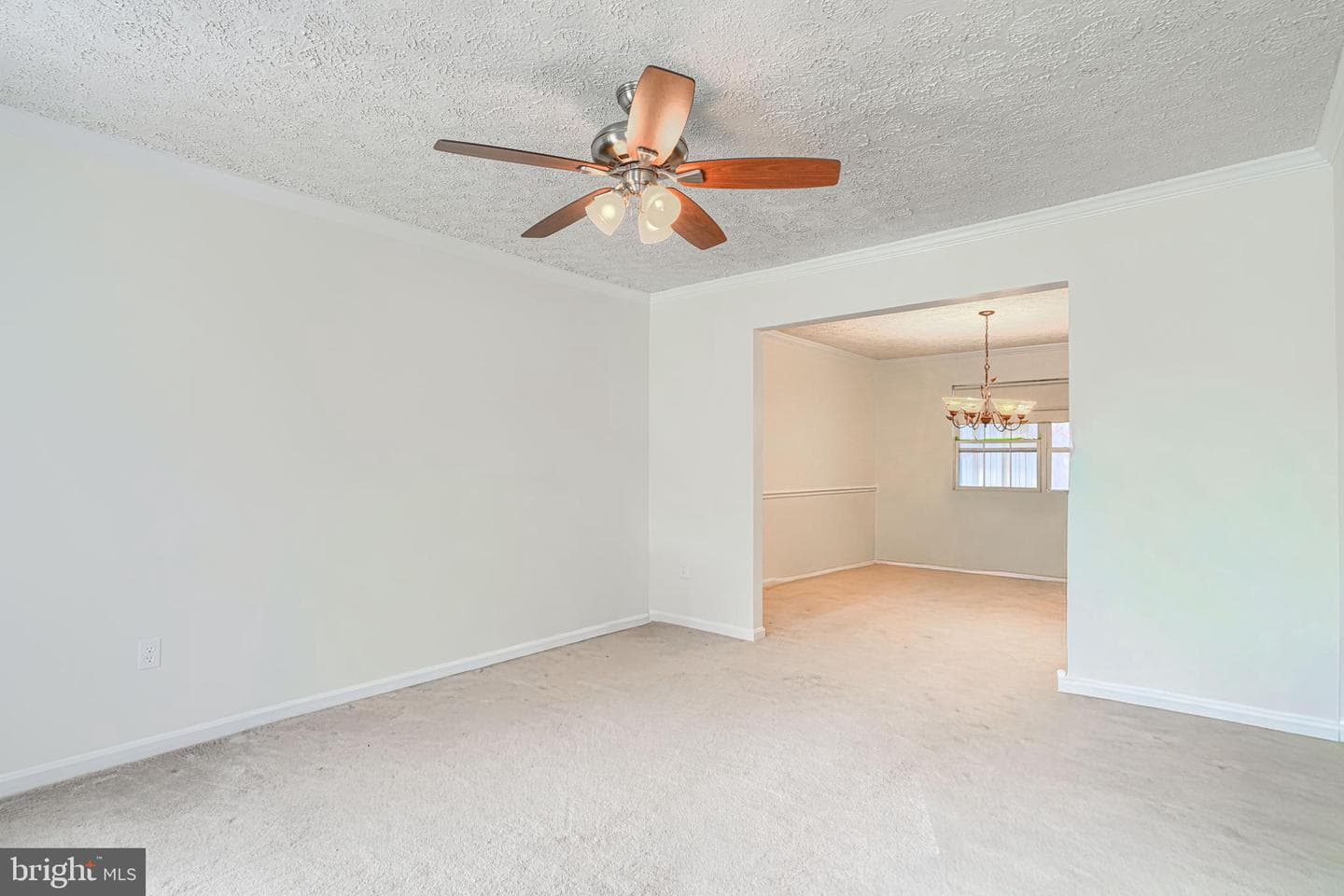 35 Coulson Drive photo 3
