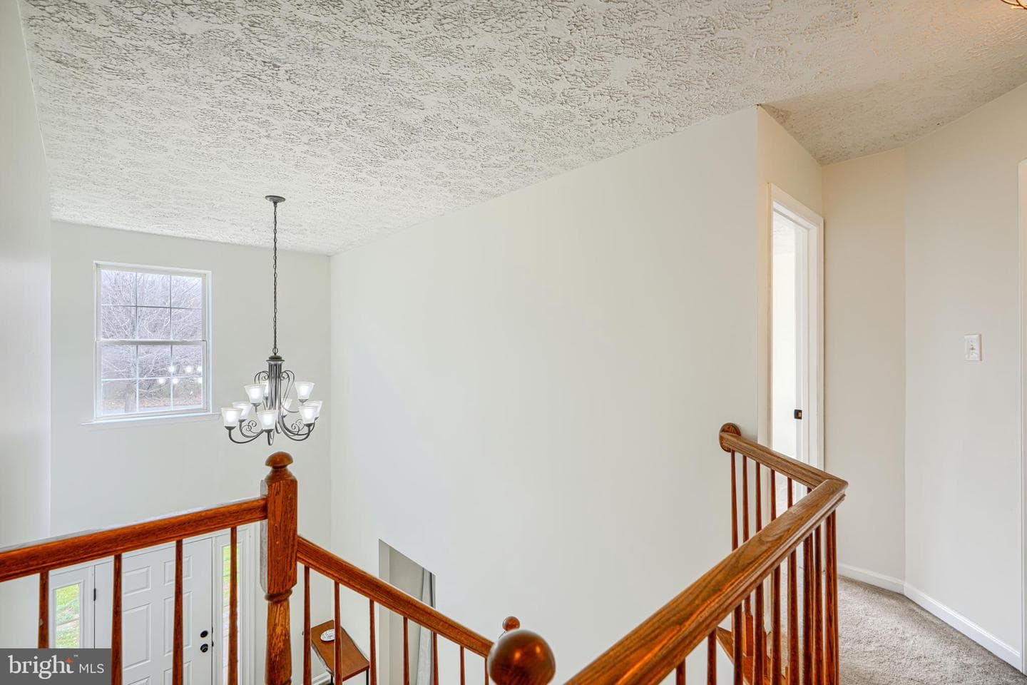 35 Coulson Drive photo 30