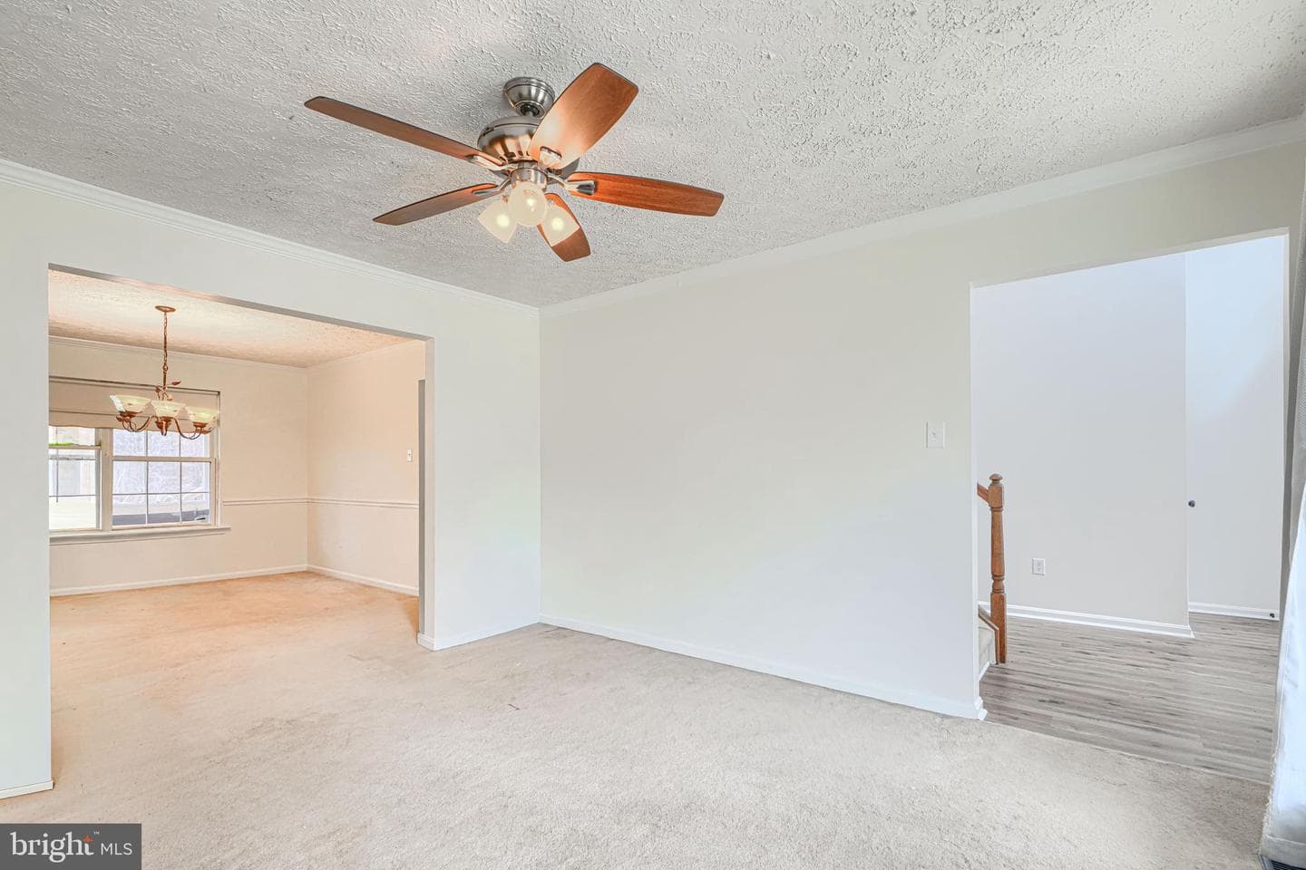 35 Coulson Drive photo 4