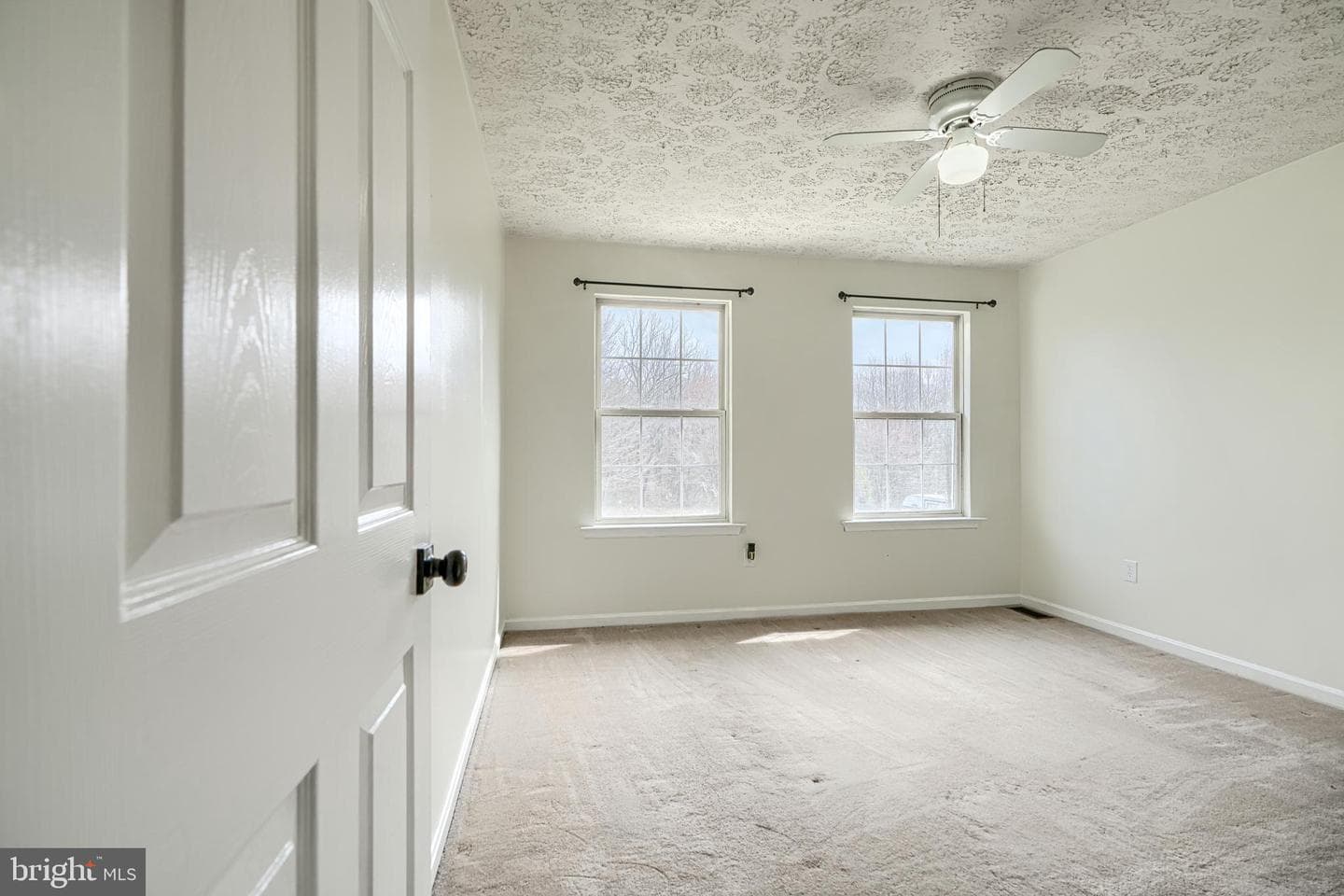 35 Coulson Drive photo 40