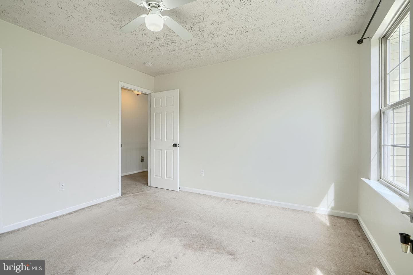35 Coulson Drive photo 43