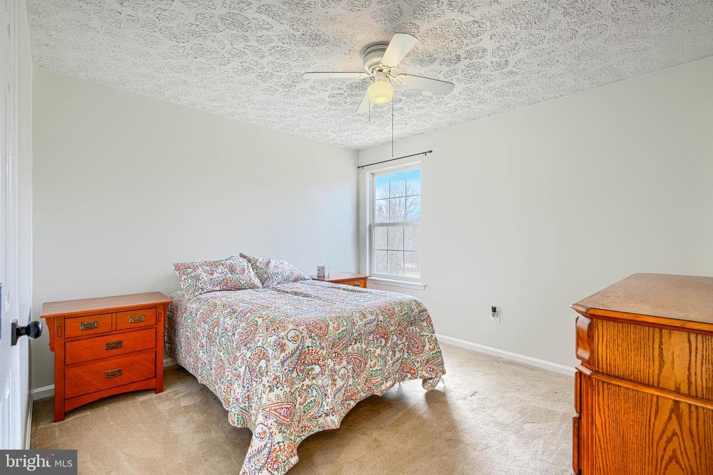 35 Coulson Drive photo 44