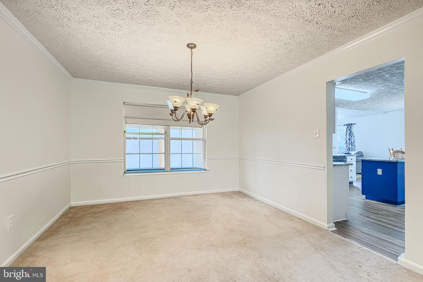 35 Coulson Drive photo 7