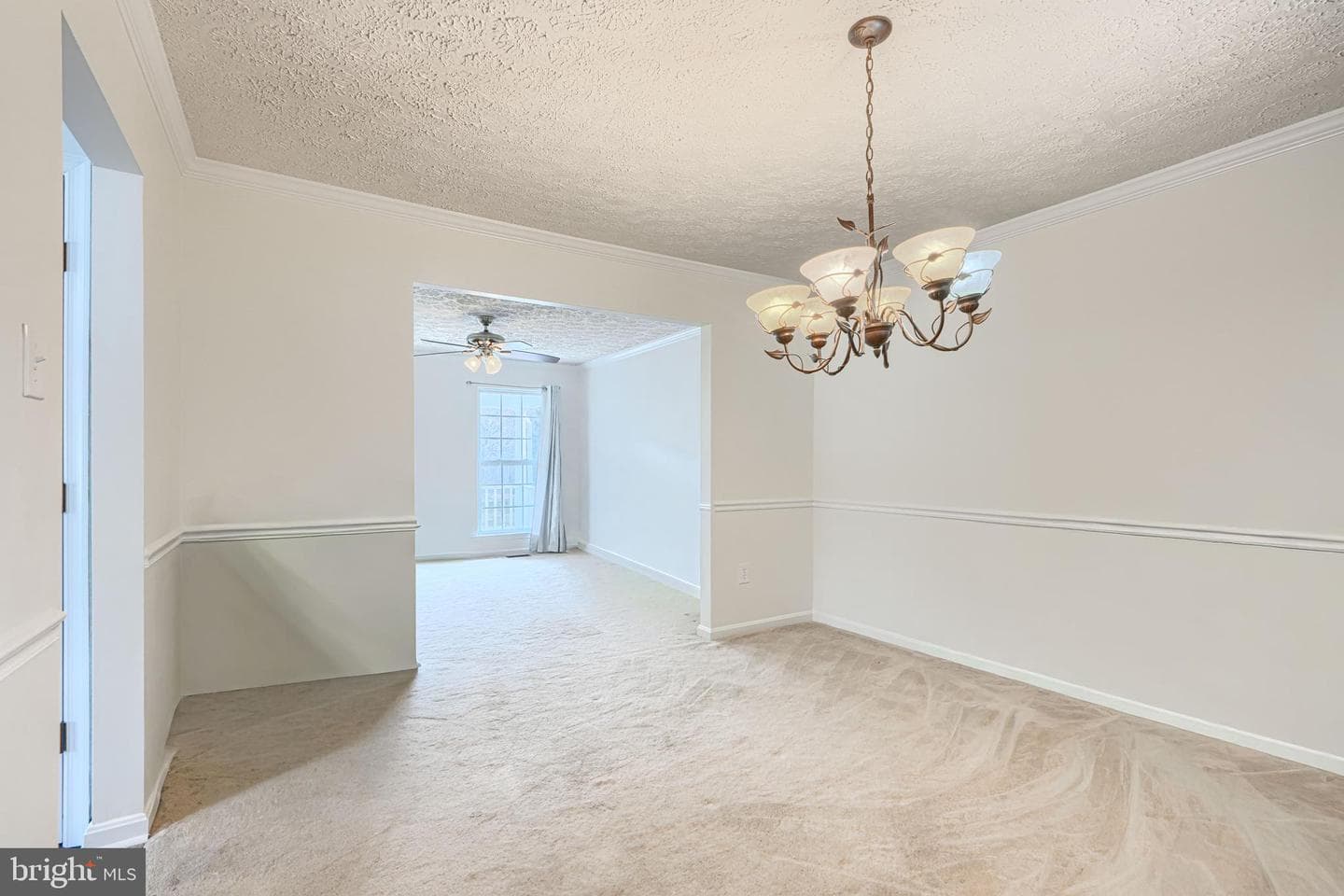 35 Coulson Drive photo 8