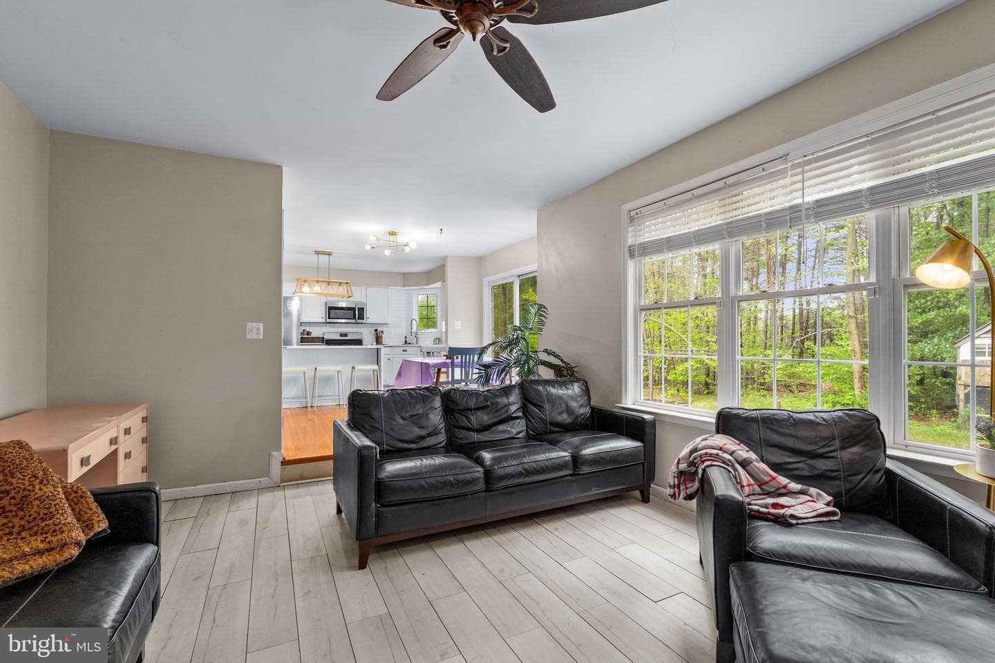 221 Bennie Drive photo 11