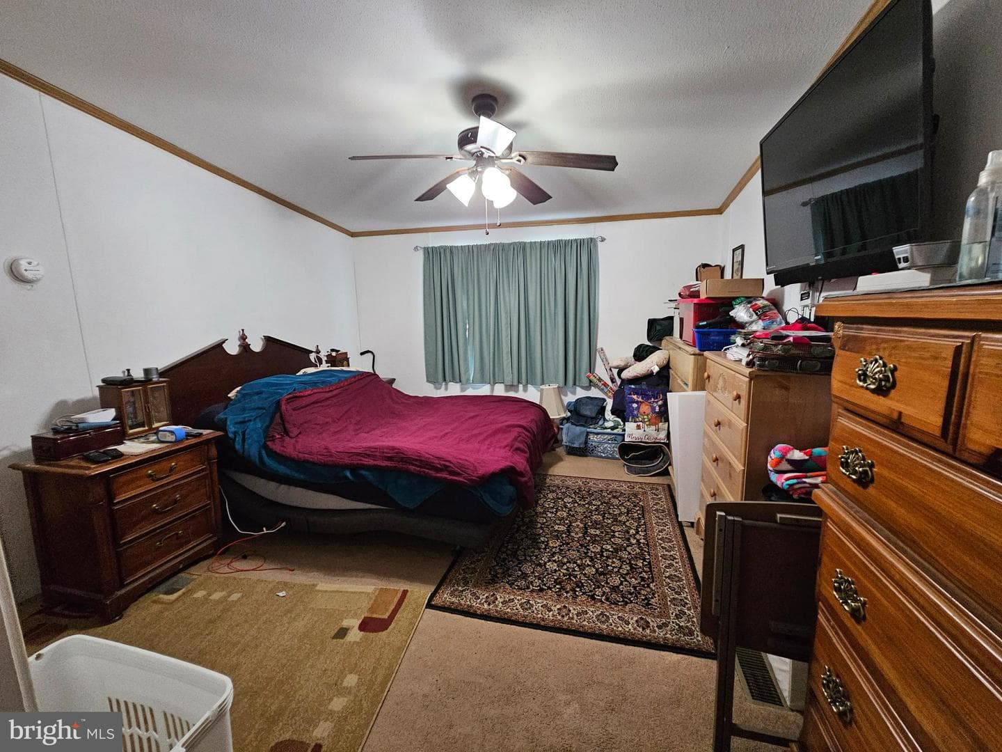 21 Vanessa Avenue photo 5