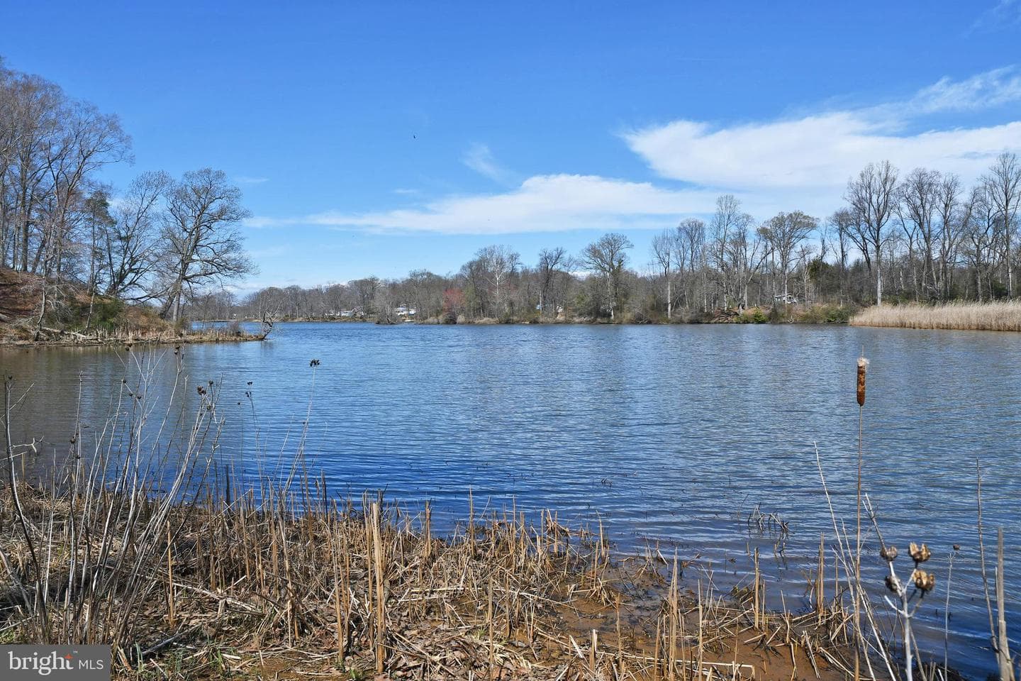 721 Knight Island Road photo 27