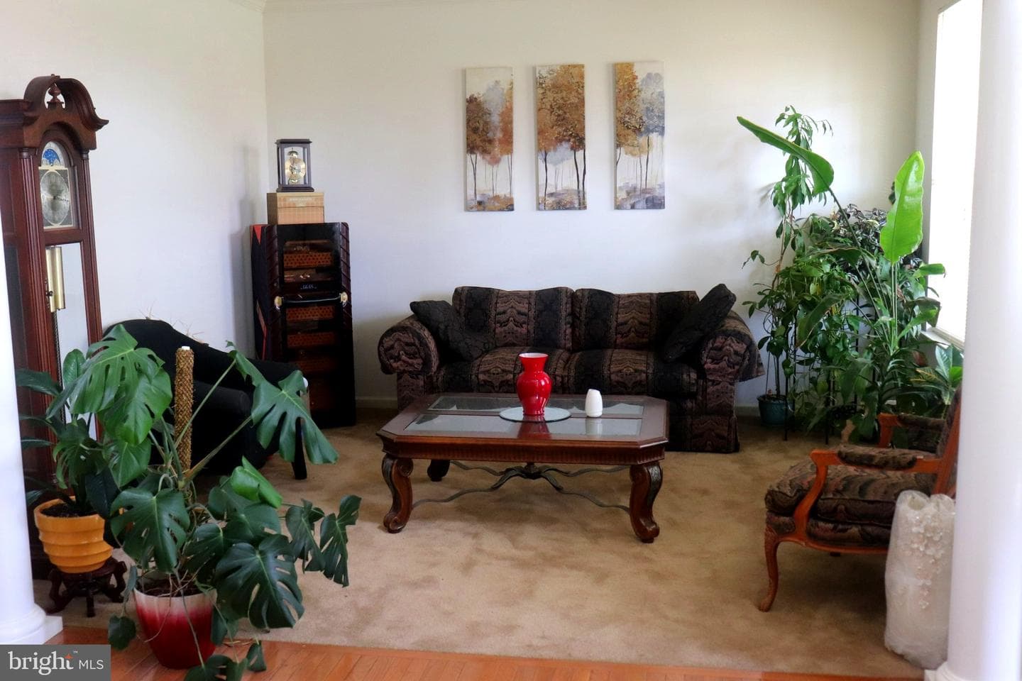 33 Sunburst Drive photo 17