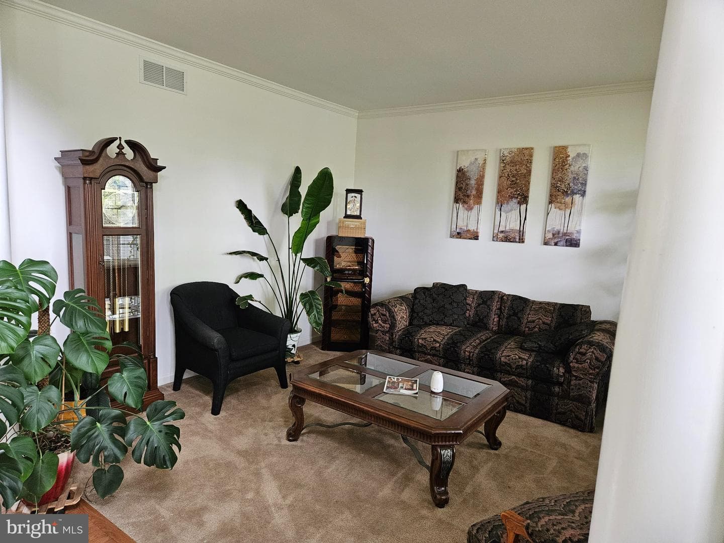 33 Sunburst Drive photo 22