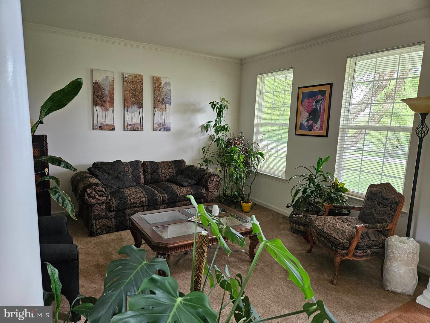 33 Sunburst Drive photo 23