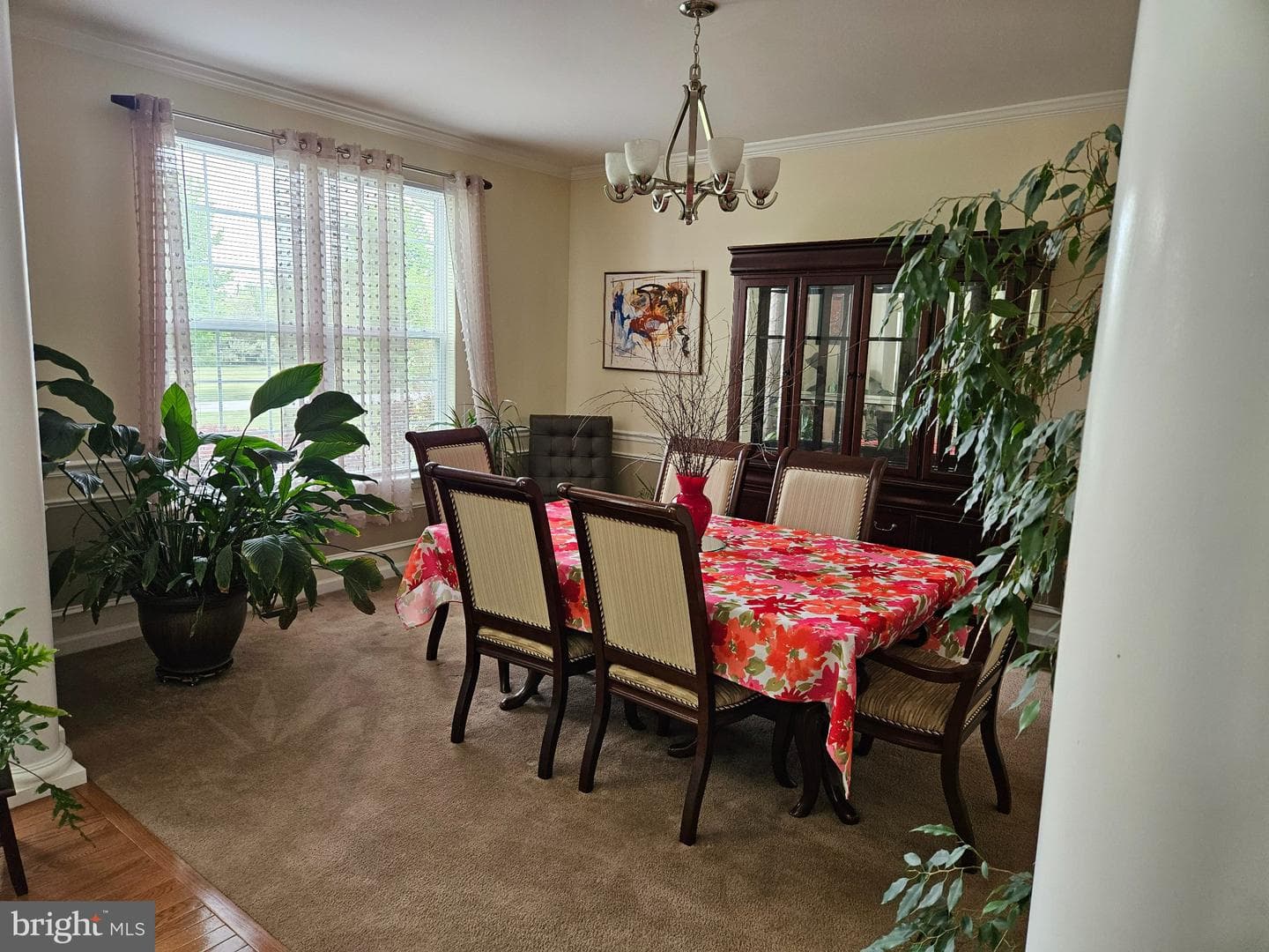 33 Sunburst Drive photo 26