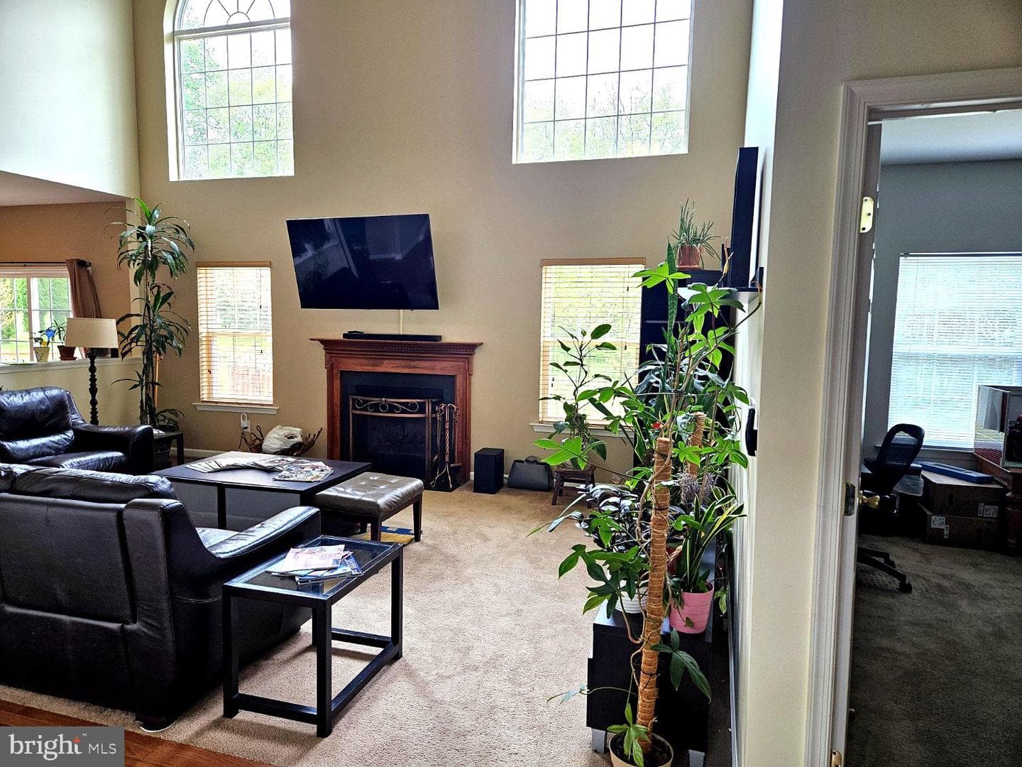 33 Sunburst Drive photo 29