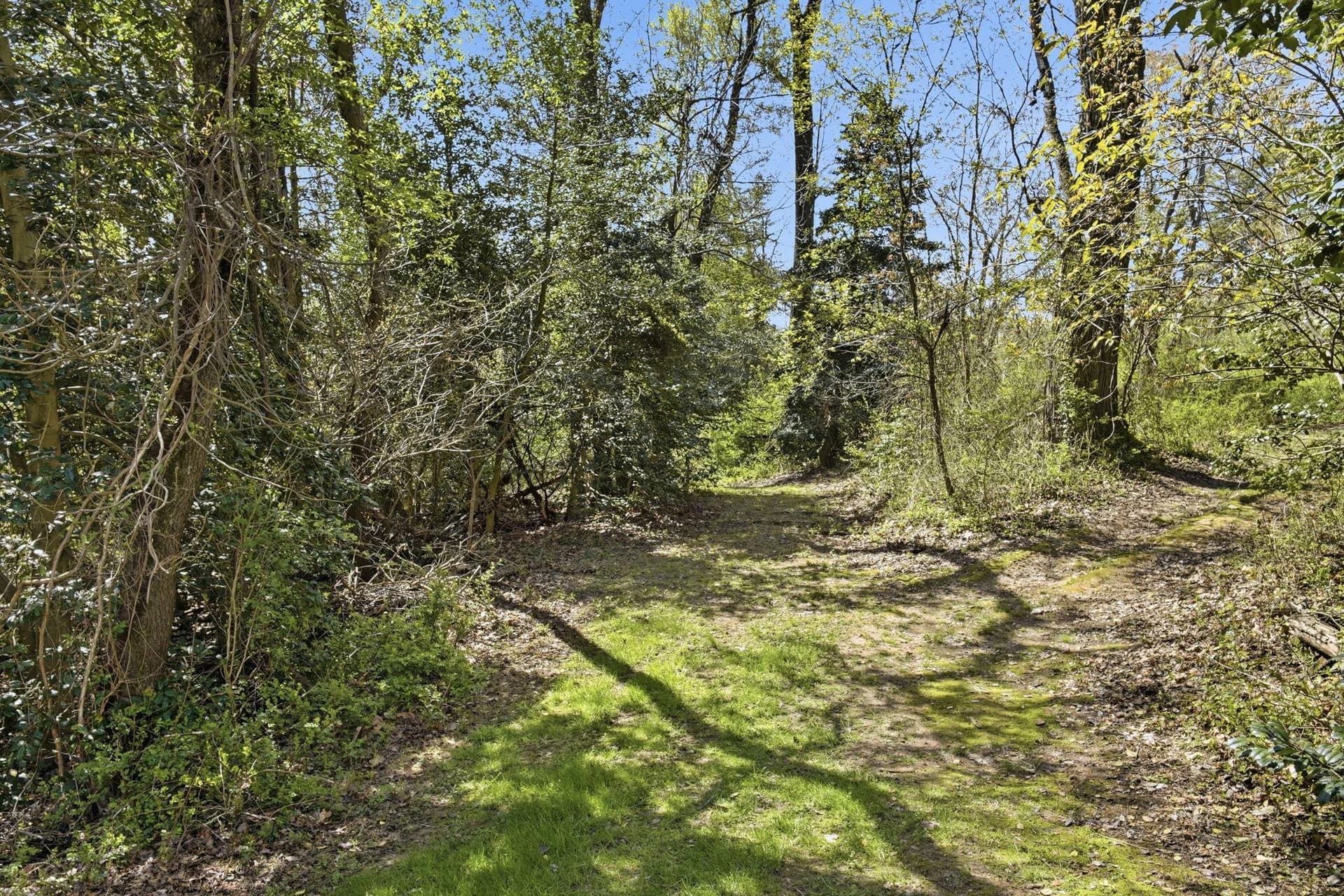 55 Howes Lane photo 9