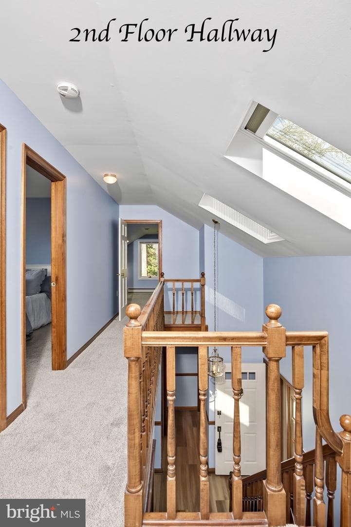 19 Tower Road photo 26