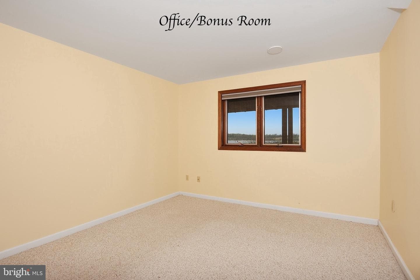19 Tower Road photo 41