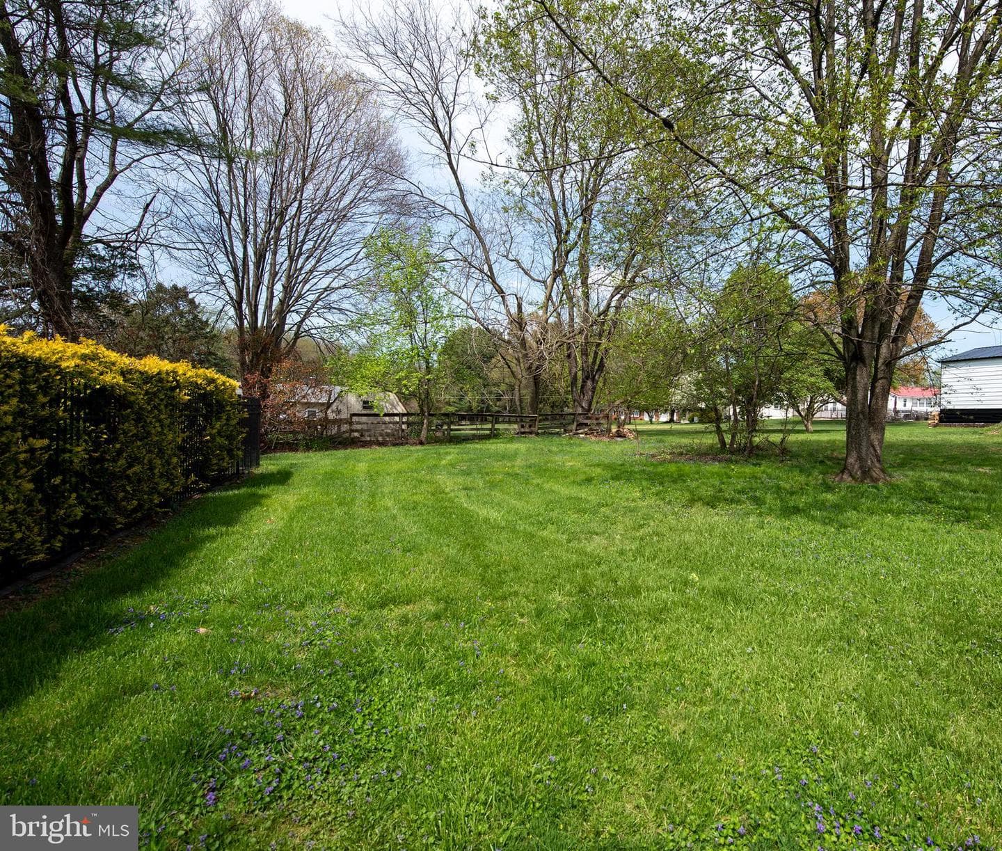 17 Foxtail Drive photo 3
