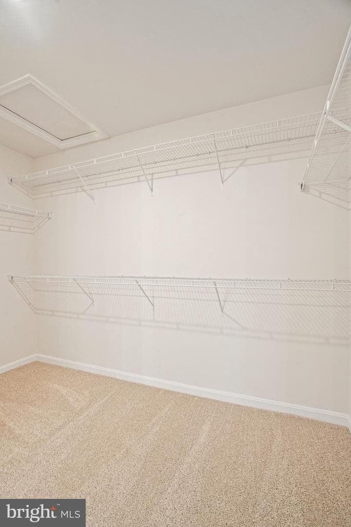 120 Catalpa Drive photo 38