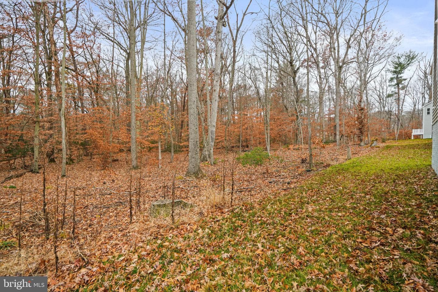 120 Catalpa Drive photo 43