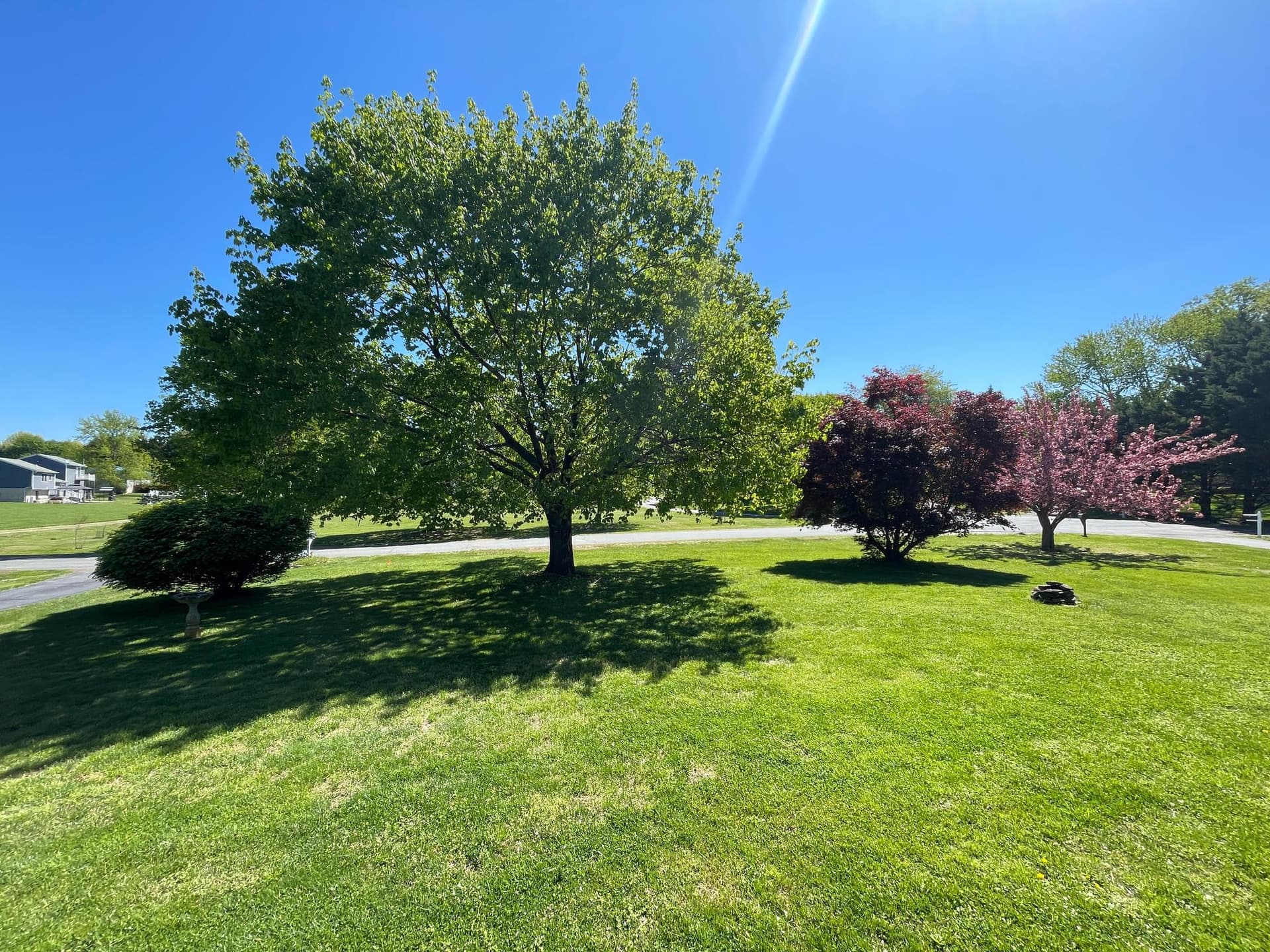 75 Franklin Drive photo 3