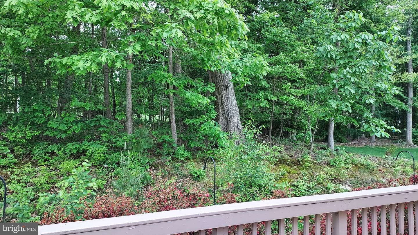 19 Mcarthur Lane photo 8