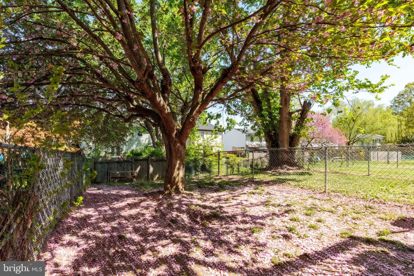 12 Leeward Court photo 3