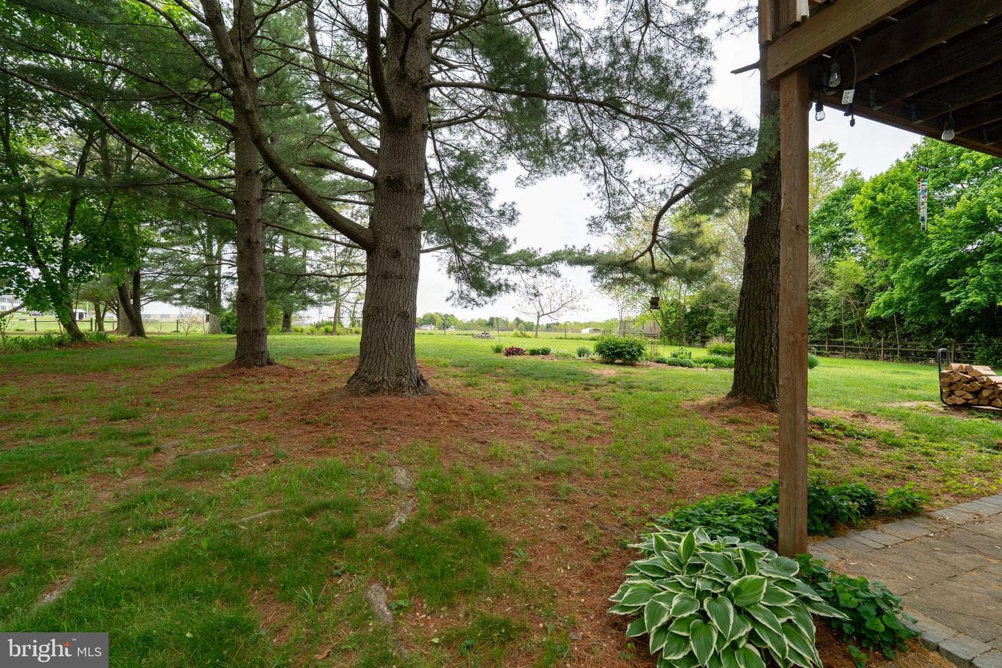32 Springfield Drive photo 11