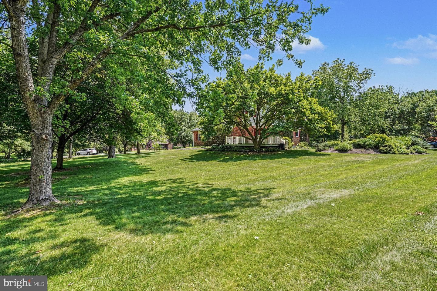 31 Filbert Lane photo 42
