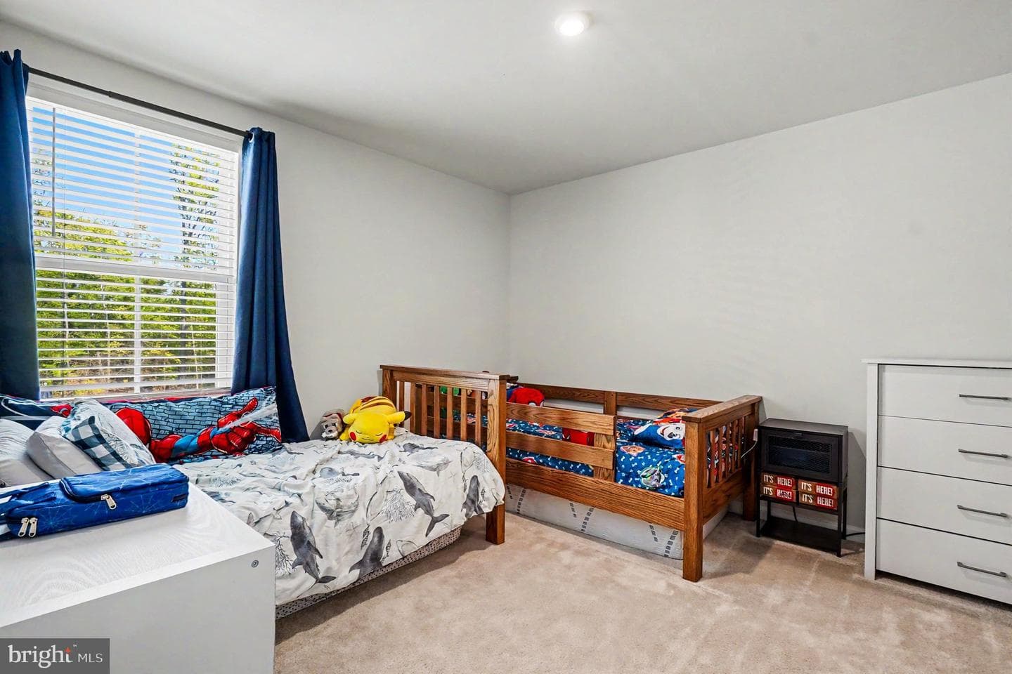 46 Goldspire Drive photo 20