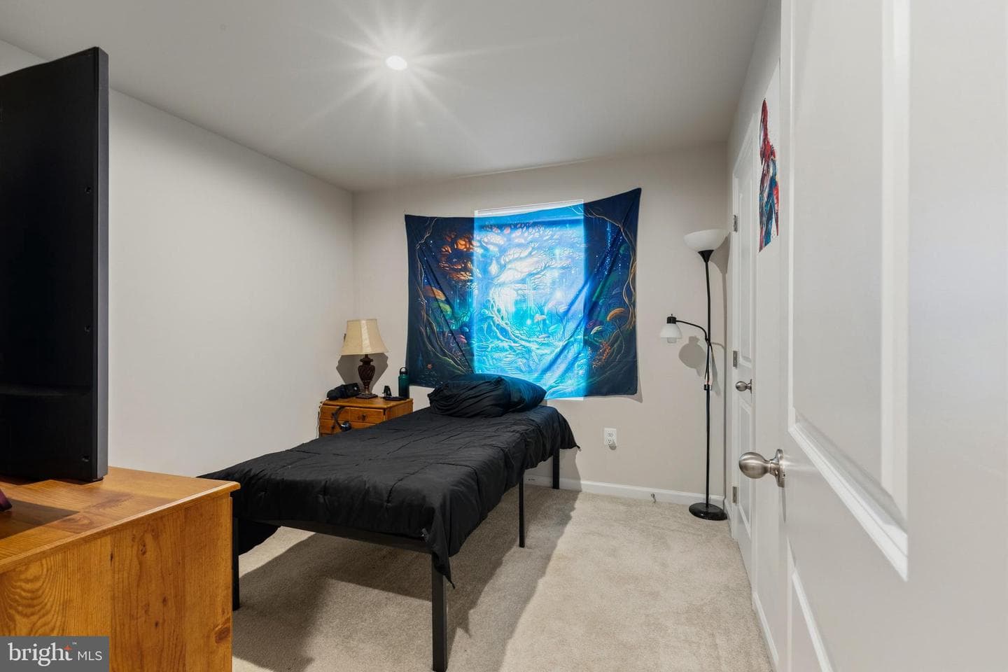 23 Teatree Lane photo 13
