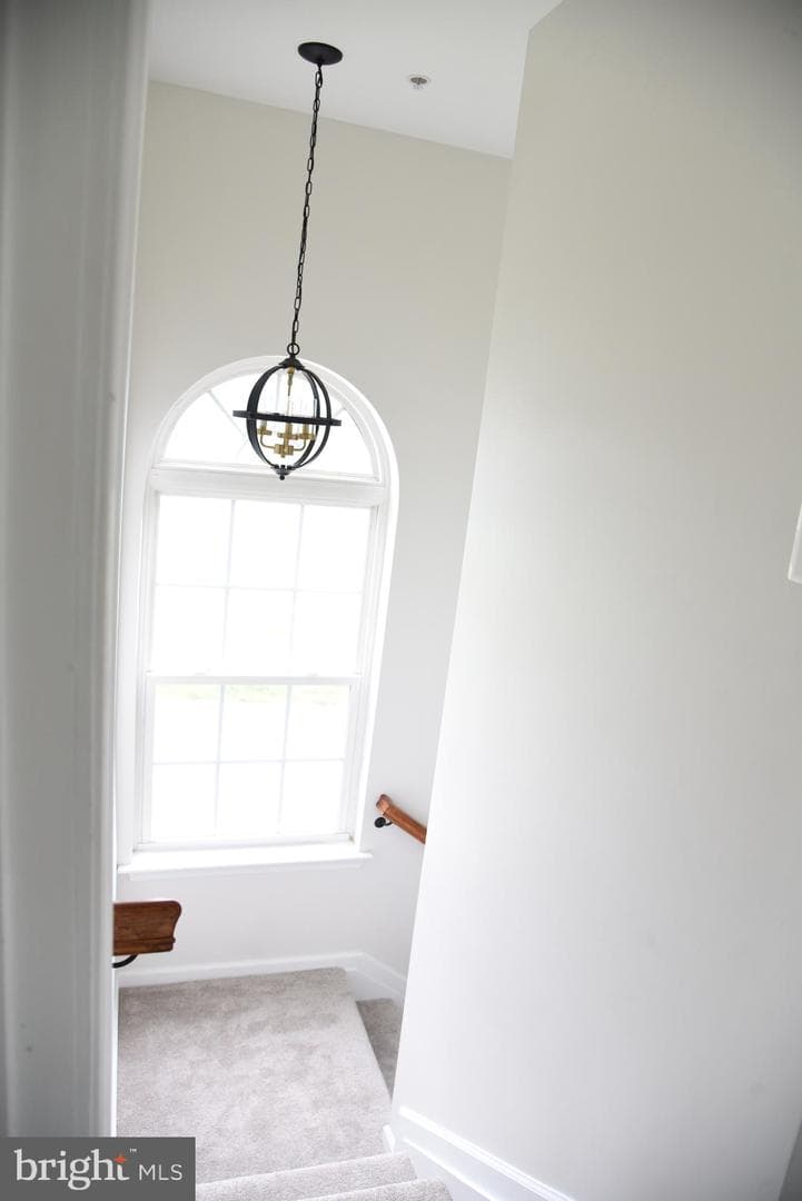 102 Maple Leaf Drive photo 18