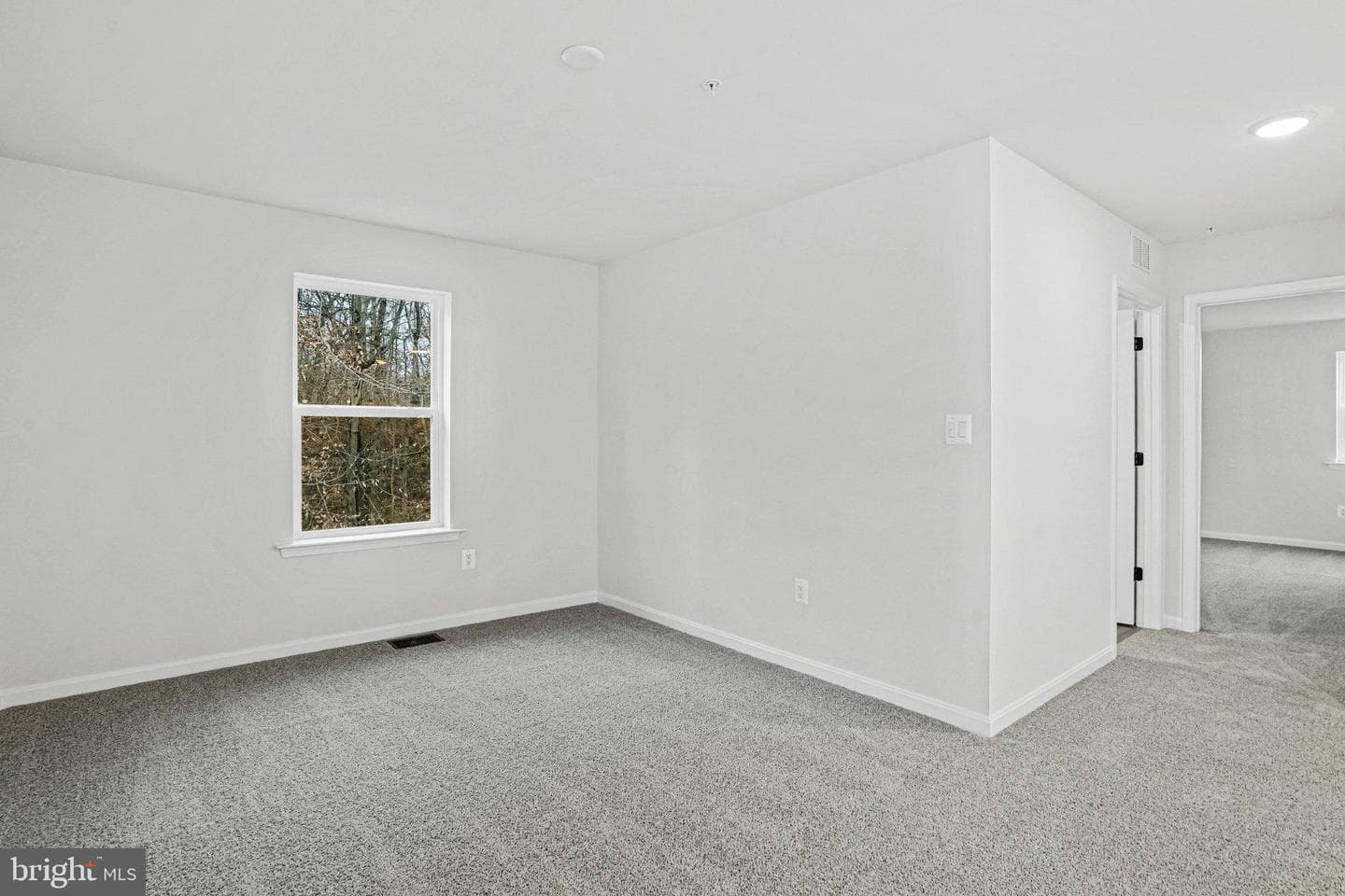 88 Catalpa Drive photo 18