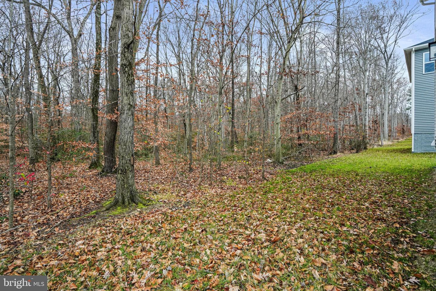 88 Catalpa Drive photo 40