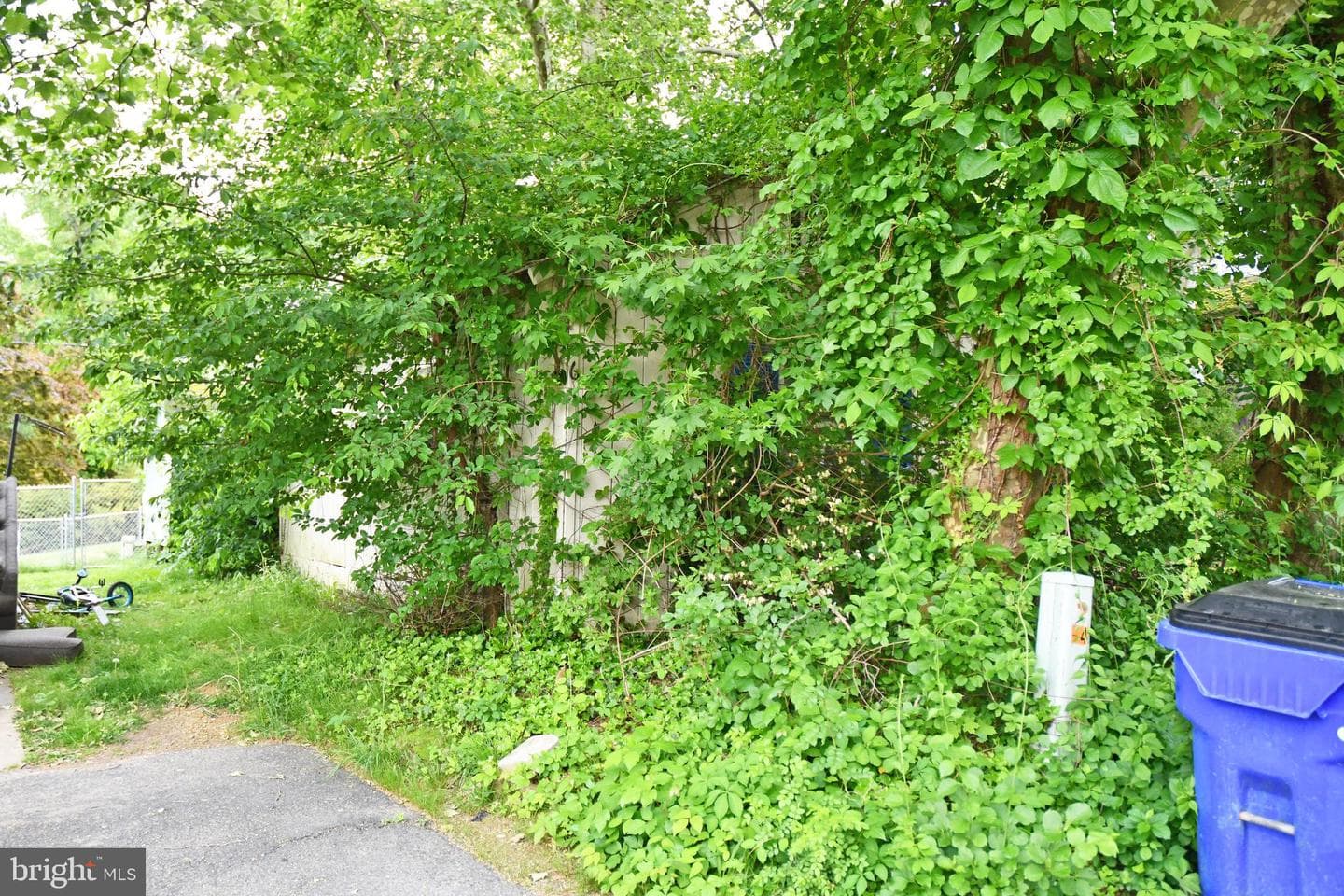 26 No Name Street, Earleville
