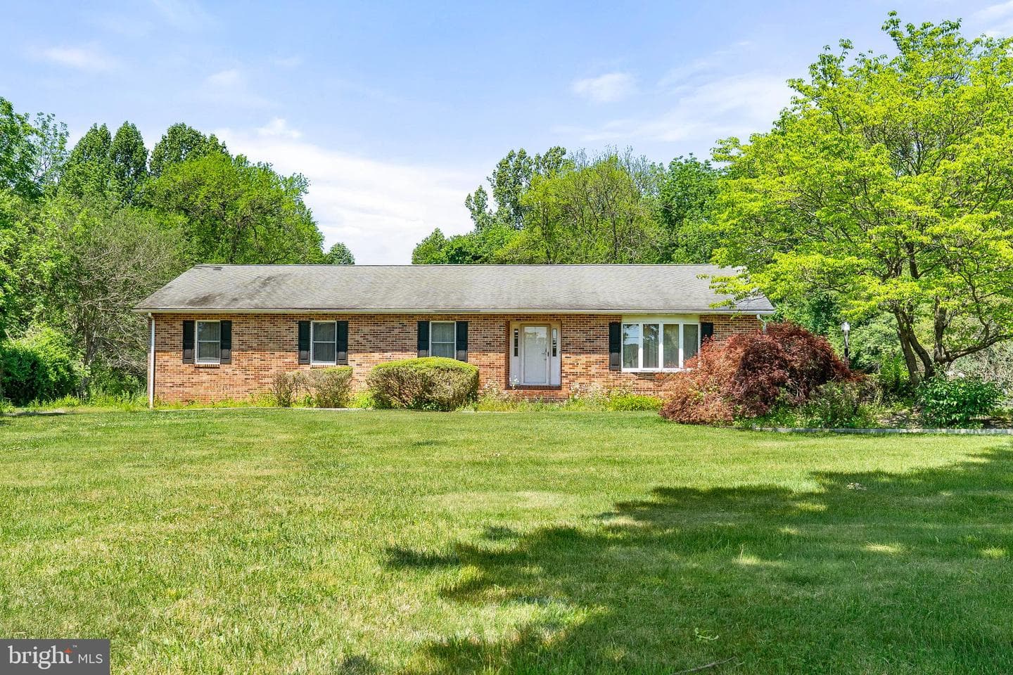 4793 Telegraph Road photo 3