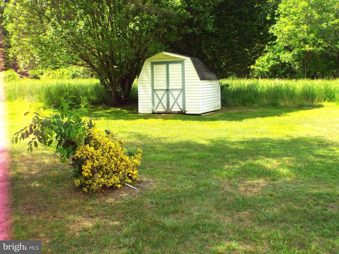 287 Woody Brown Road photo 19