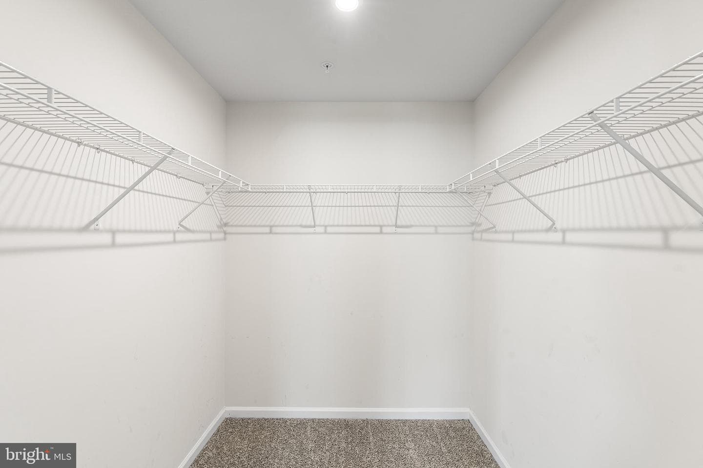 33 Tilia Drive photo 17