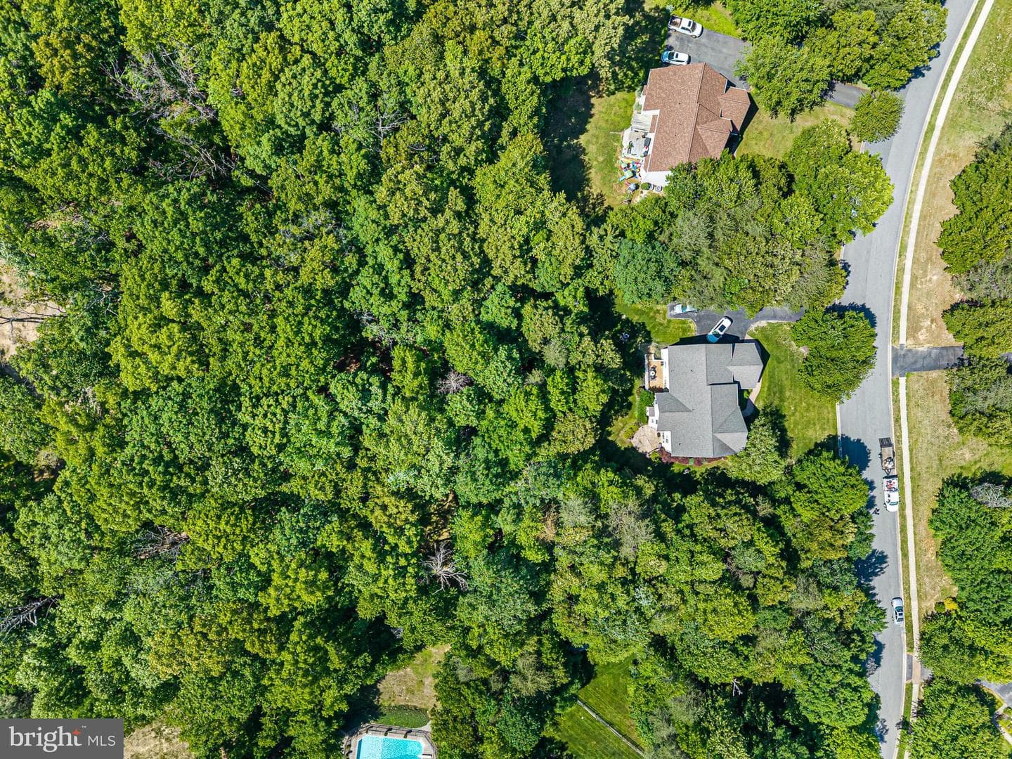 233 Woodholme Way photo 62