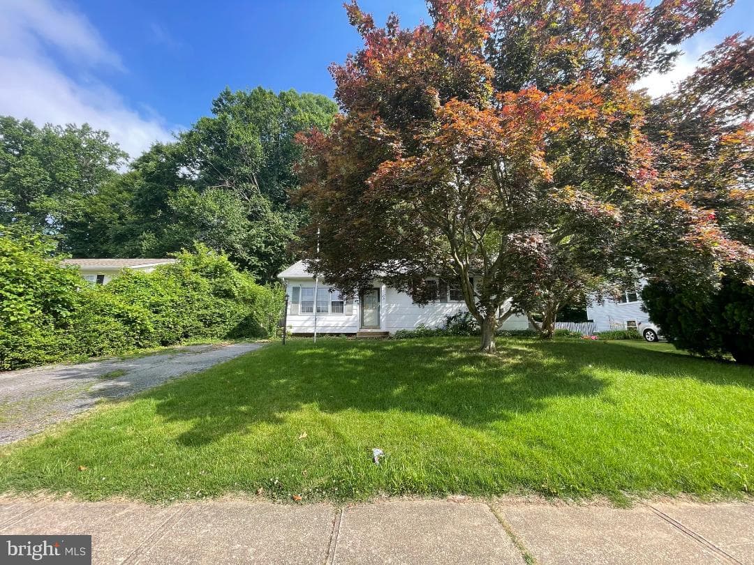 253 Courtney Drive photo 3