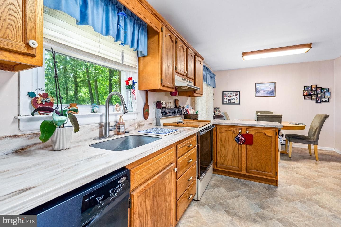 240 Courtney Drive photo 9