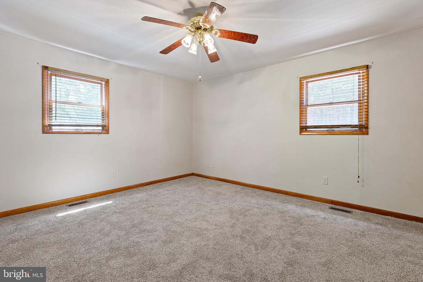 19 Pine Lane photo 19