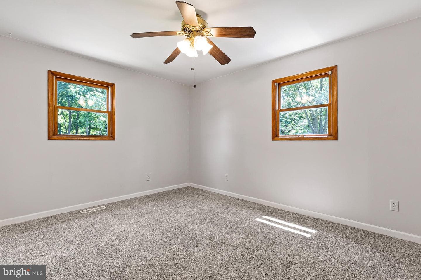 19 Pine Lane photo 22