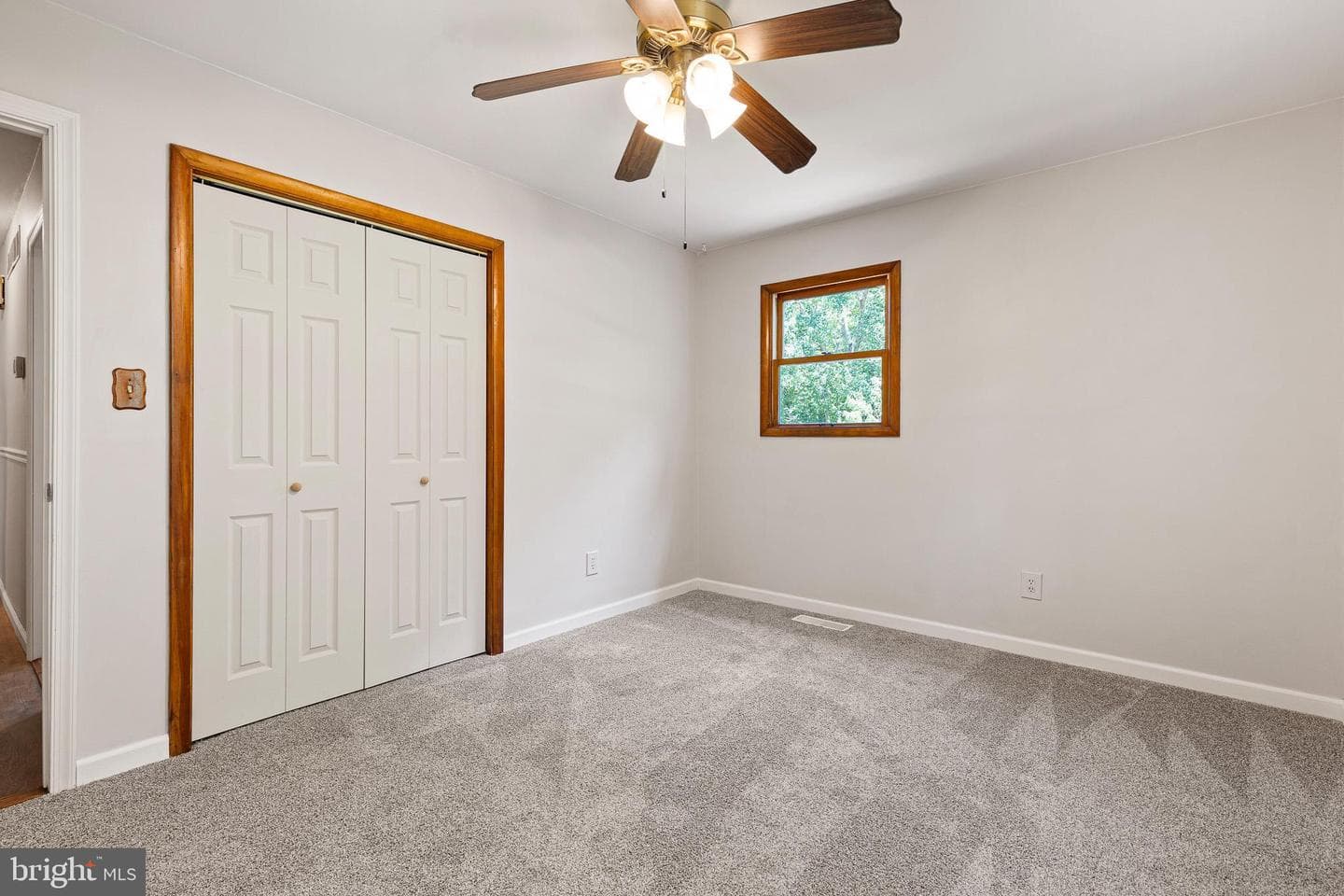 19 Pine Lane photo 23