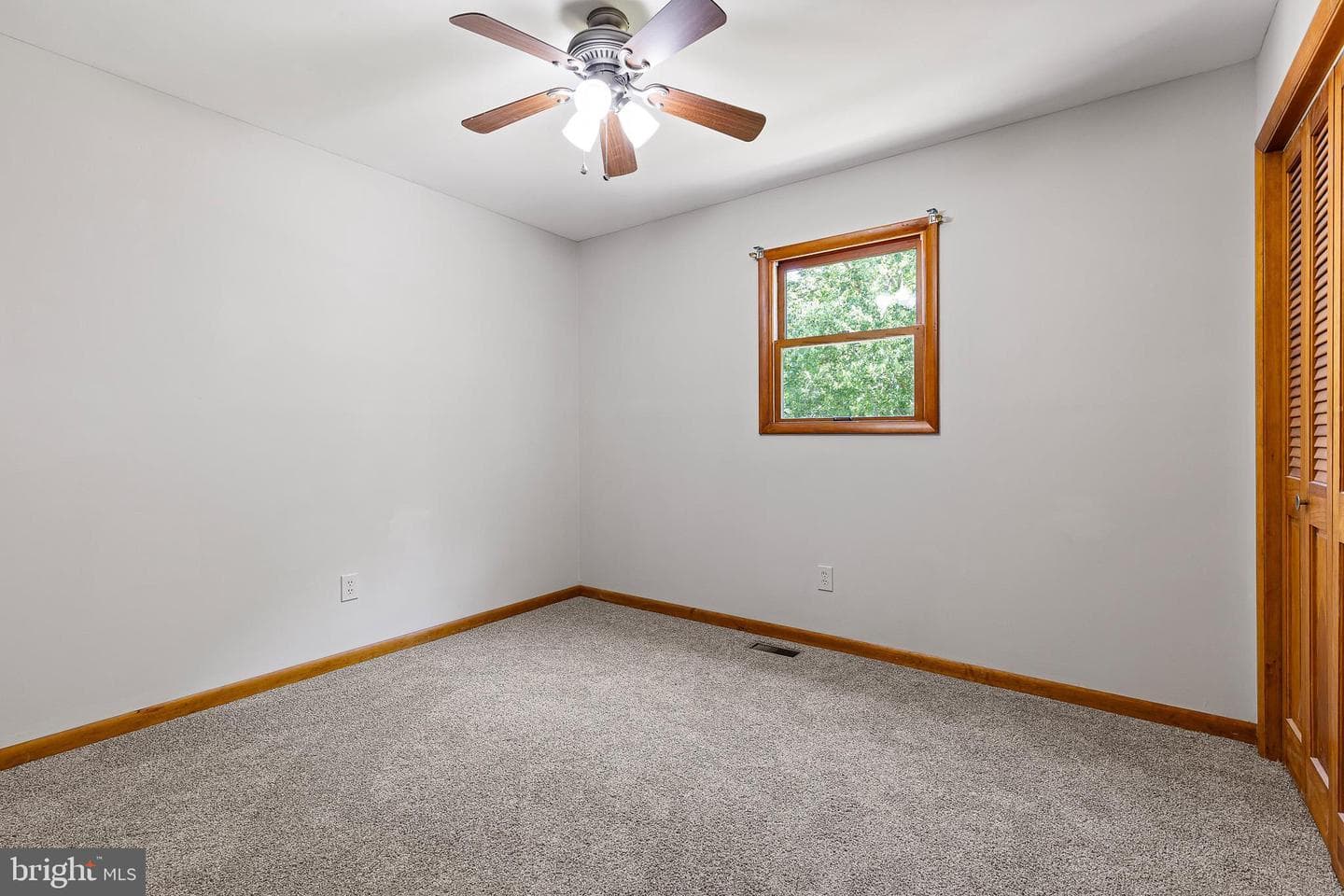 19 Pine Lane photo 24